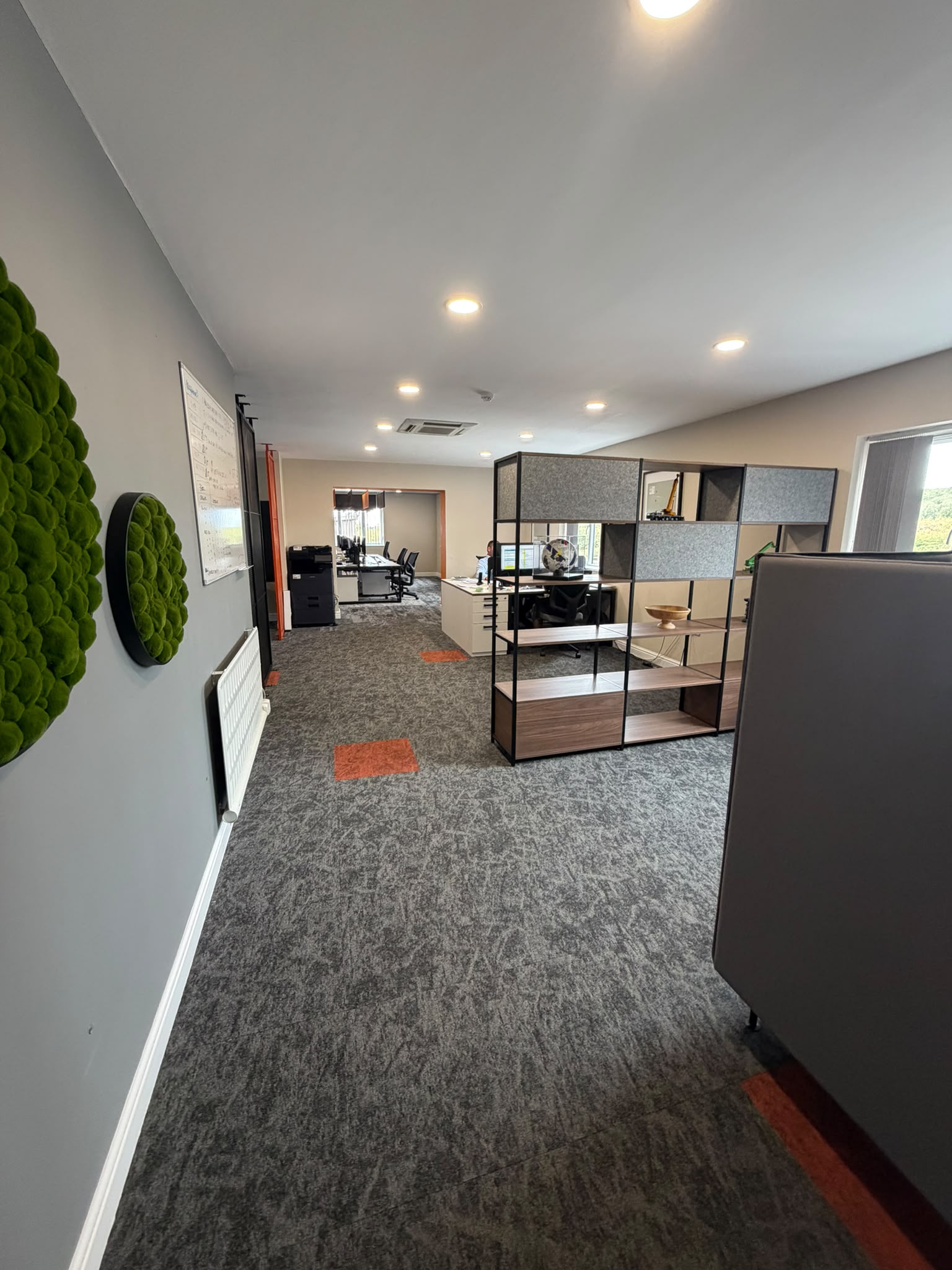 Commercial project